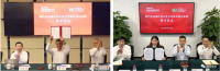 中國寶武，究竟儲(chǔ)備了多少鐵礦？